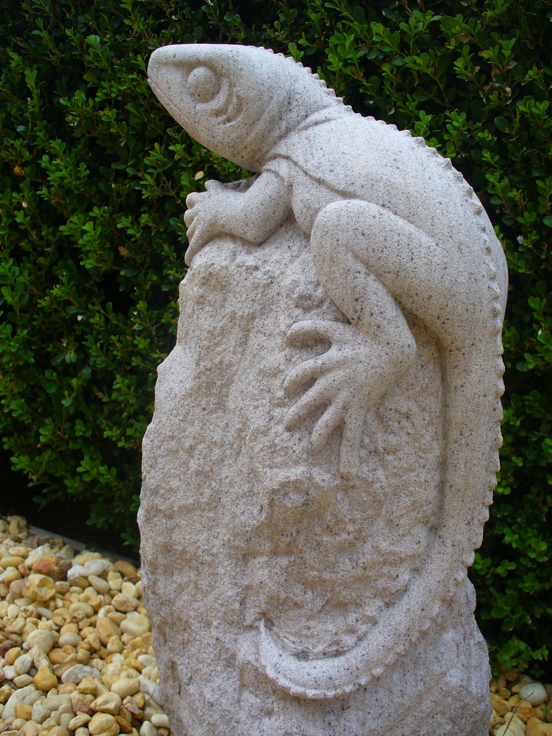 Lizard 5